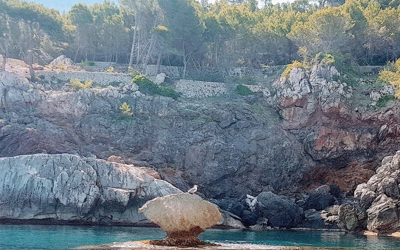 Natural coastline and sea near Deià